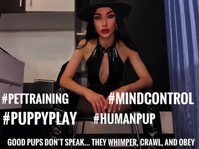 My Pretty Puppy: Obedience In Every Whimper