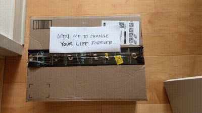 Audrey's Purrfect Transformation