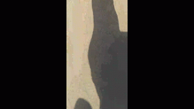 Petite Latina Feet Walking On Beach Though Water, Nice ASMR Sounds