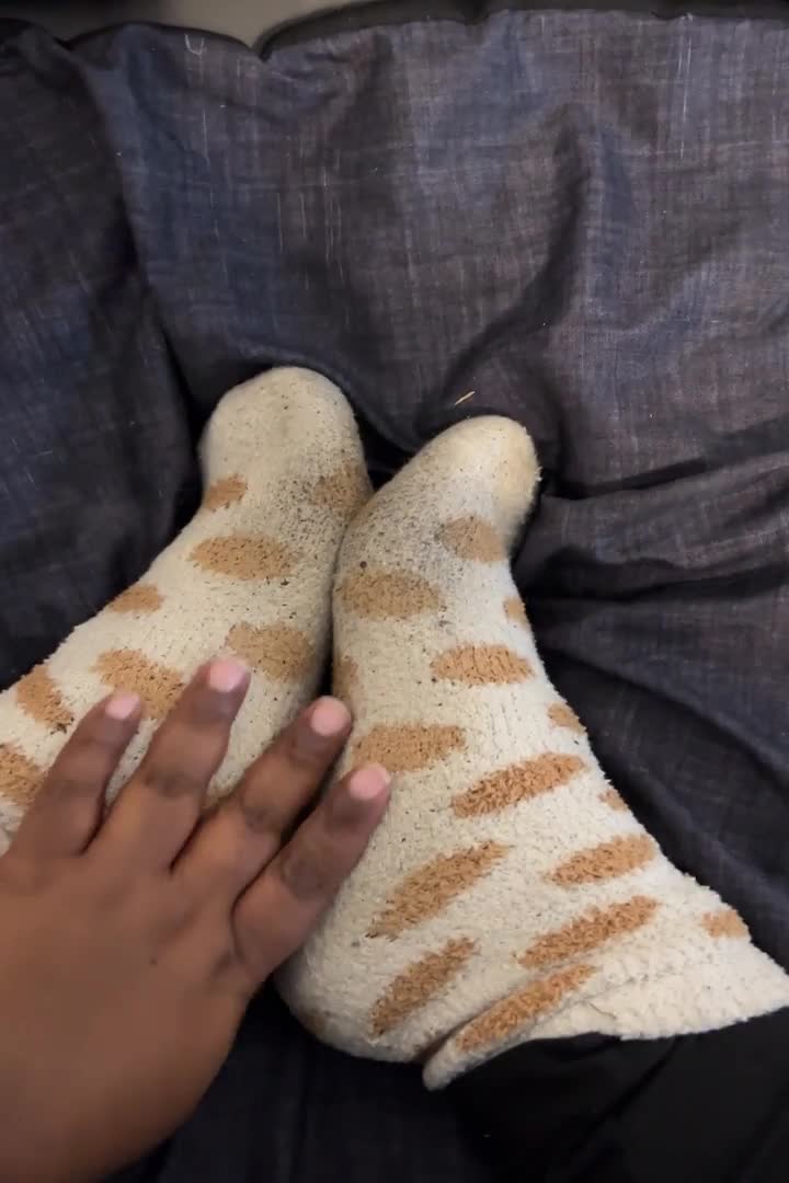 Eat My Fuzzy Socks, Pig!