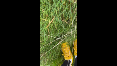 Soaking My Yellow Trainers On A Walk