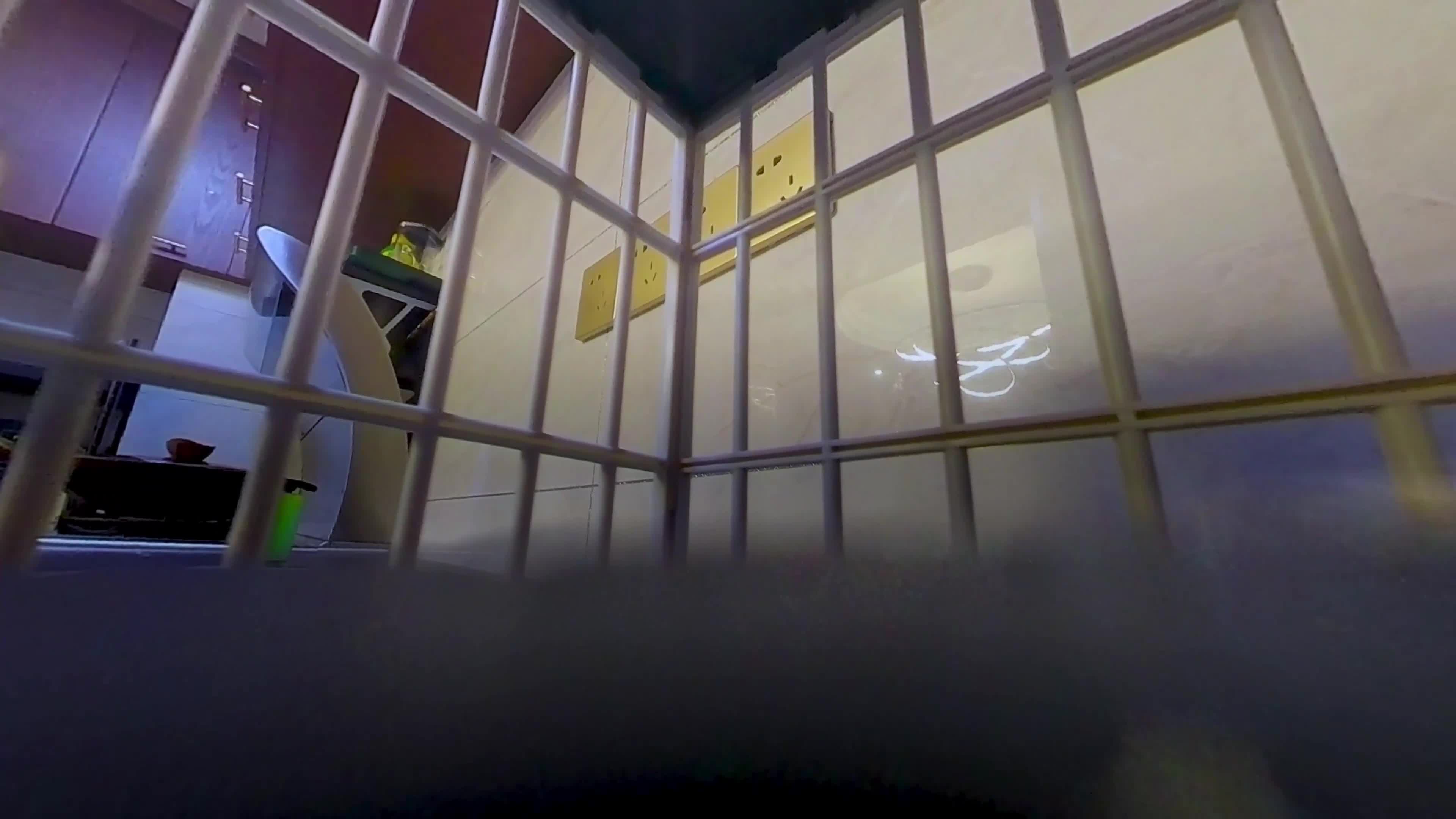 Tiny Man In Box 5 (POV)