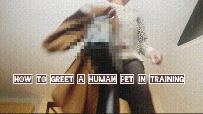 How To Properly Greet Your Human Pet While In Training