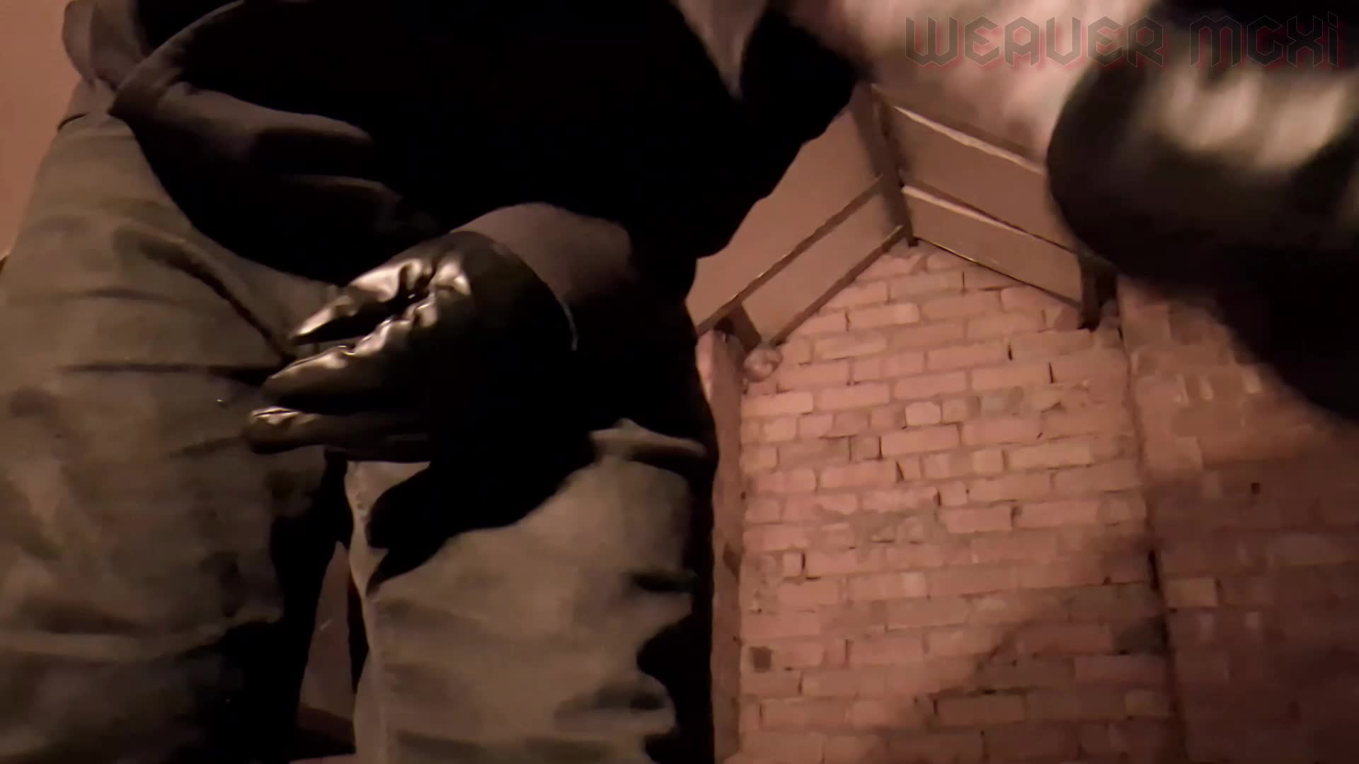 Cornered And Collared (Highly Immersive Taken Captive Fantasy)