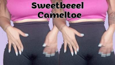 This Latin Cameltoe Is Looking To Be Eaten