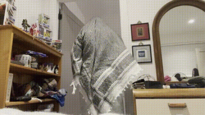 Chandler My Lord Husband