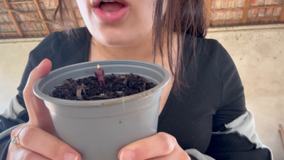 Giantess Gardening Gone Wild She Plants A Tiny Man