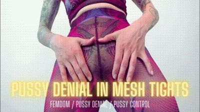 Pussy Denial In Mesh Tights