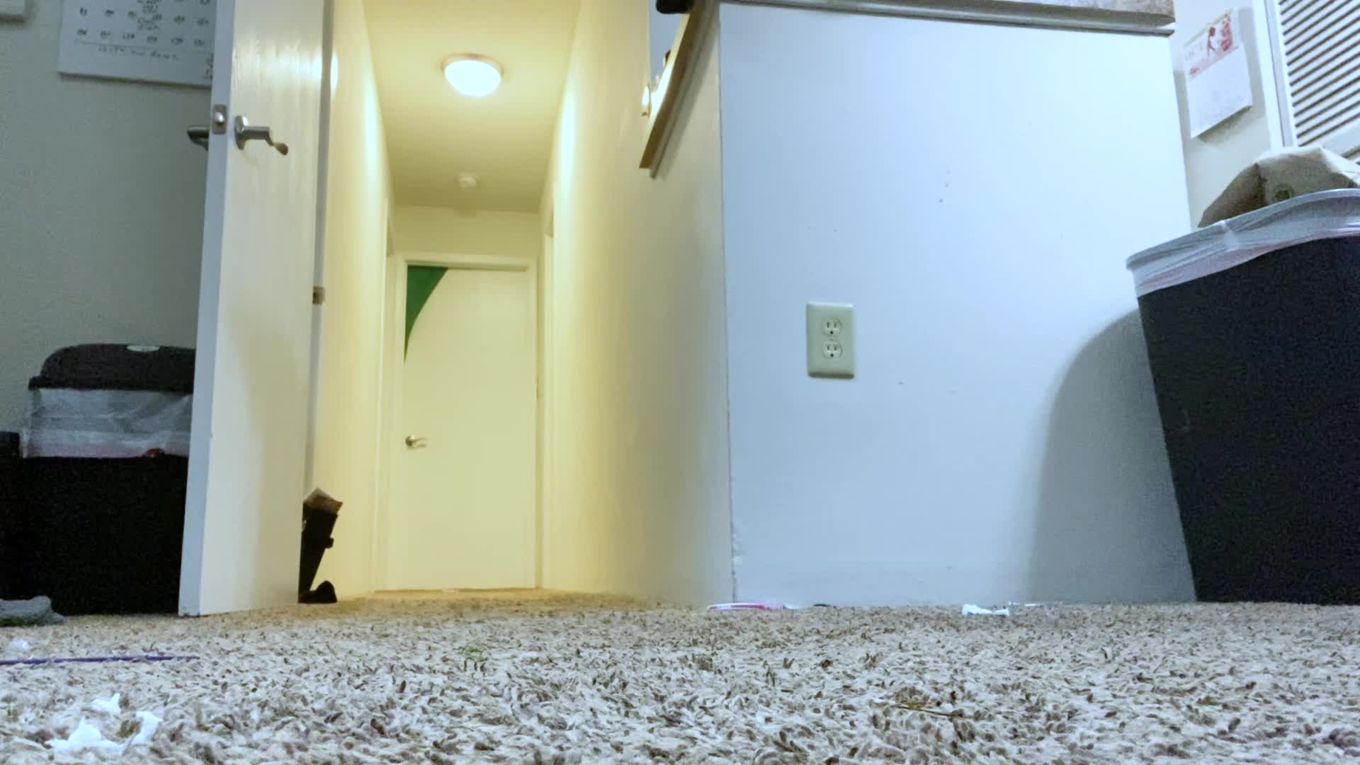 Giantess-The Trial Of The Tiny Boyfriend POV, Giantess, Shrinking Fetish, Femdom