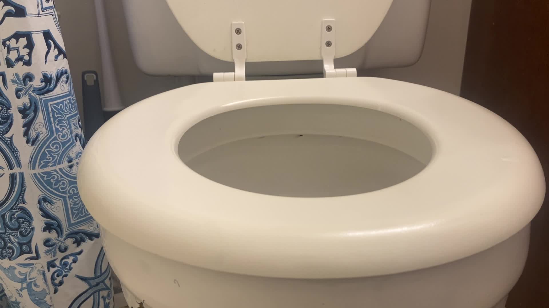 Toilet Fetish- Disguised As A Roach - Worshiping The Toilet Of Giantess Mxdominion, Femdom, Shrinking Fetish. Giantess Special Effects