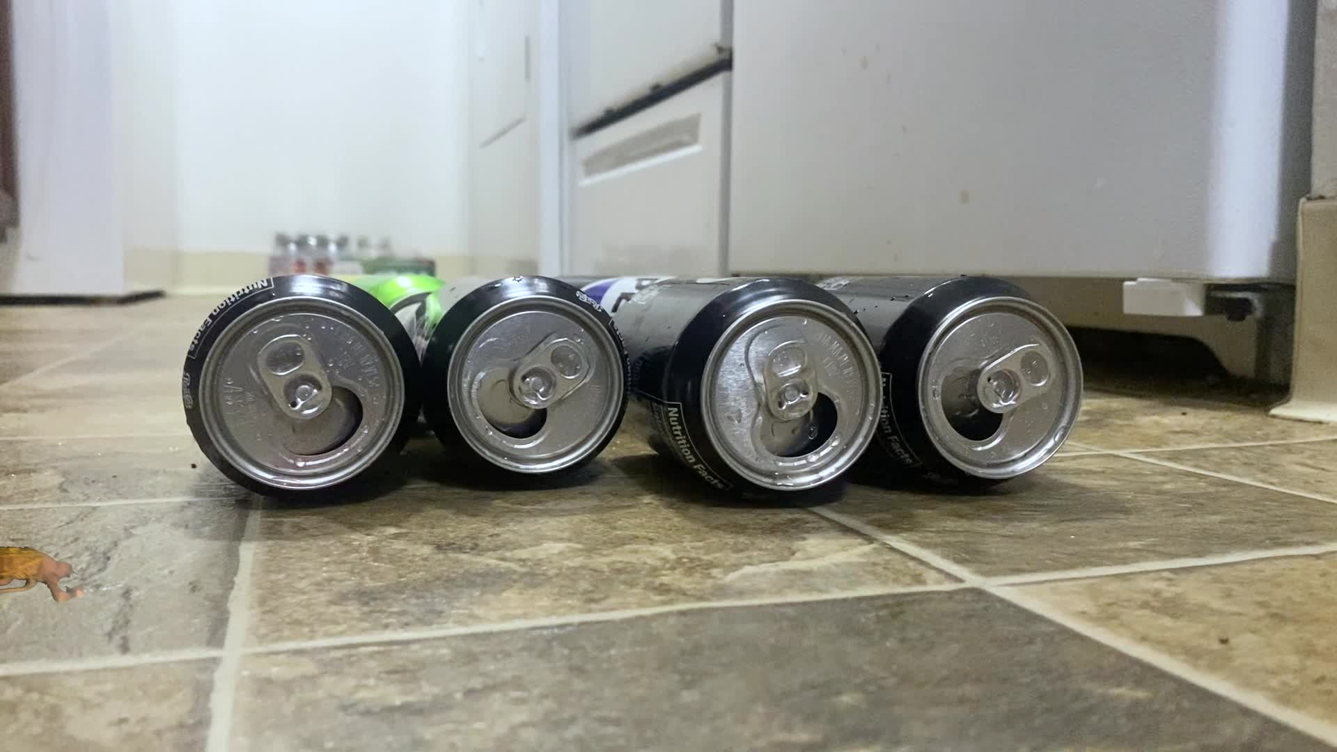 Giantess- Disguised As A Roach - Caught In Giantess Crush, Femdom, Crush Fetish. Giantess Special Effects