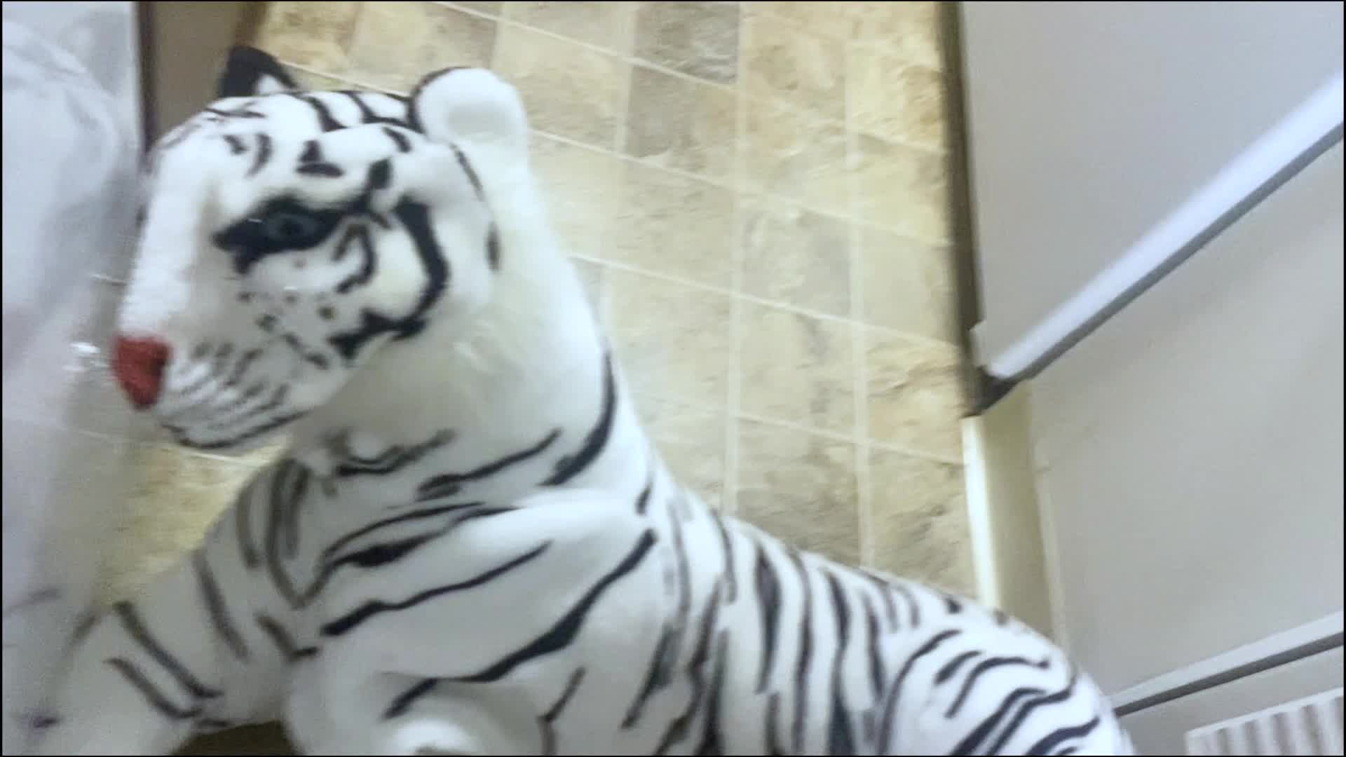 Object Crush- Toy Tiger Crushed Under Goddess Mxdominion's Sandals, Trampling, Foot Domination, Femdom