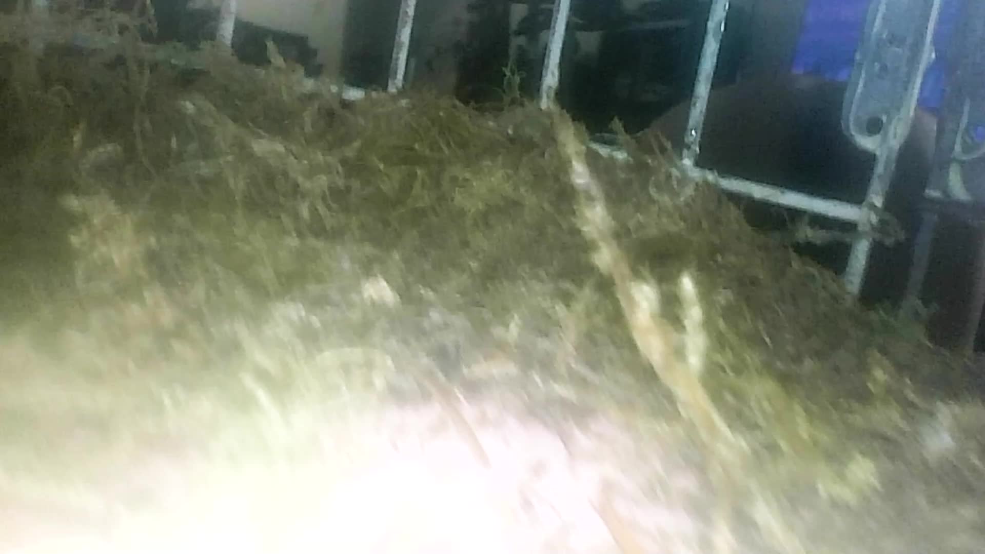 You Are Shoved Into Giantess Mxdominion's Pet Slaves Ass Colossal POV