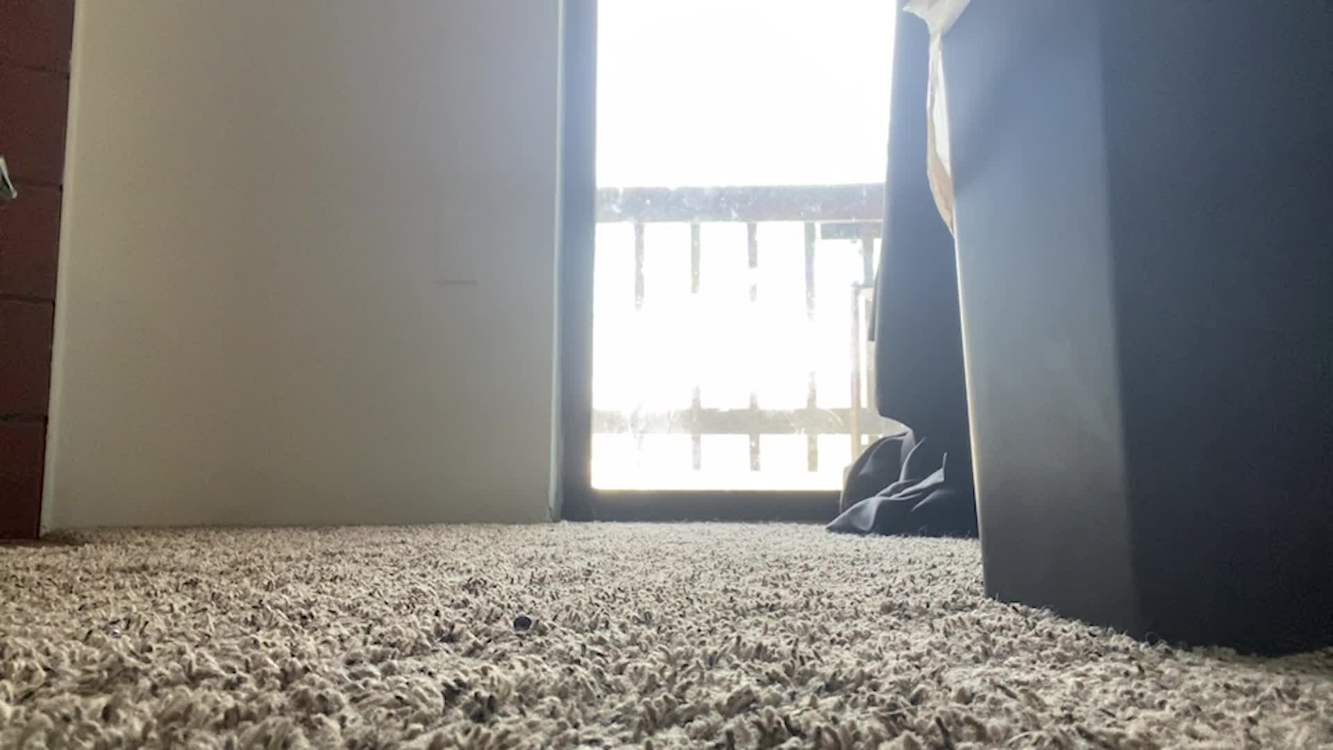 Shrinking Potion Mistake: Teacher Finds You (POV)