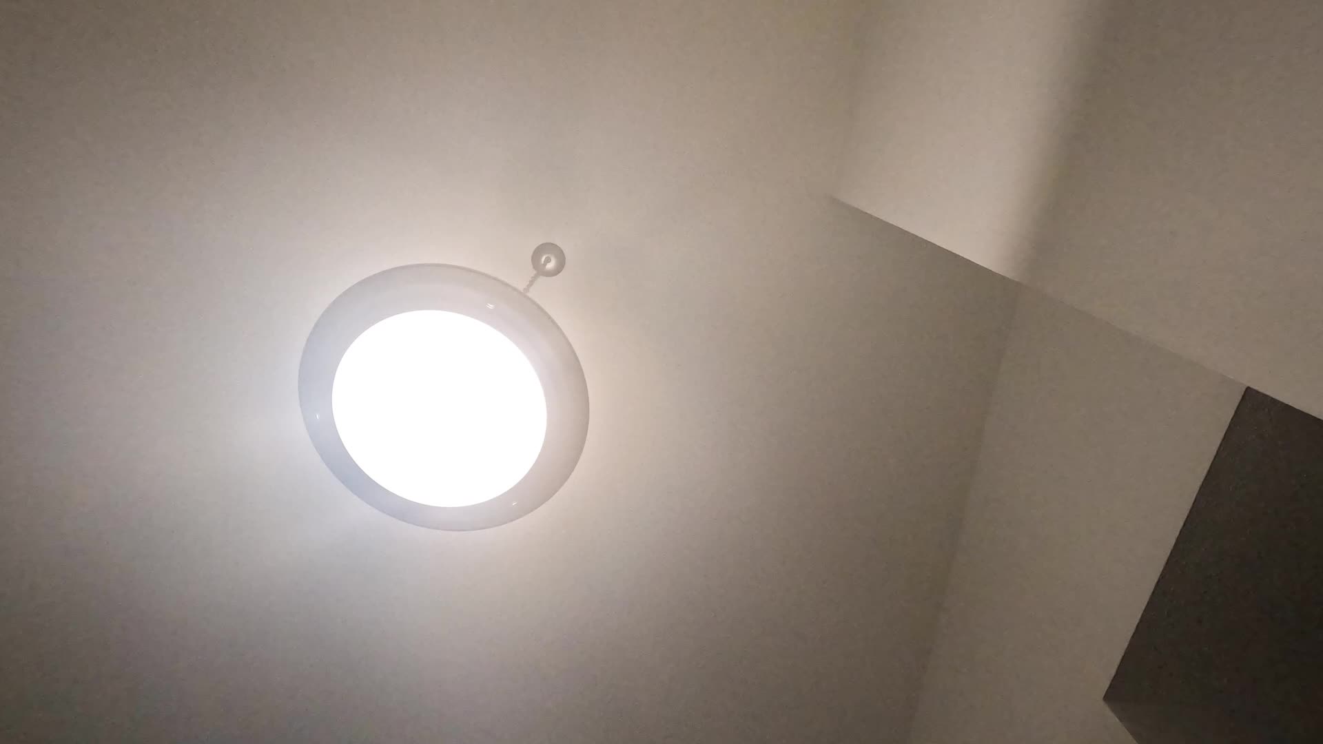 Tiny Trespasser In Her Snack Bowl POV