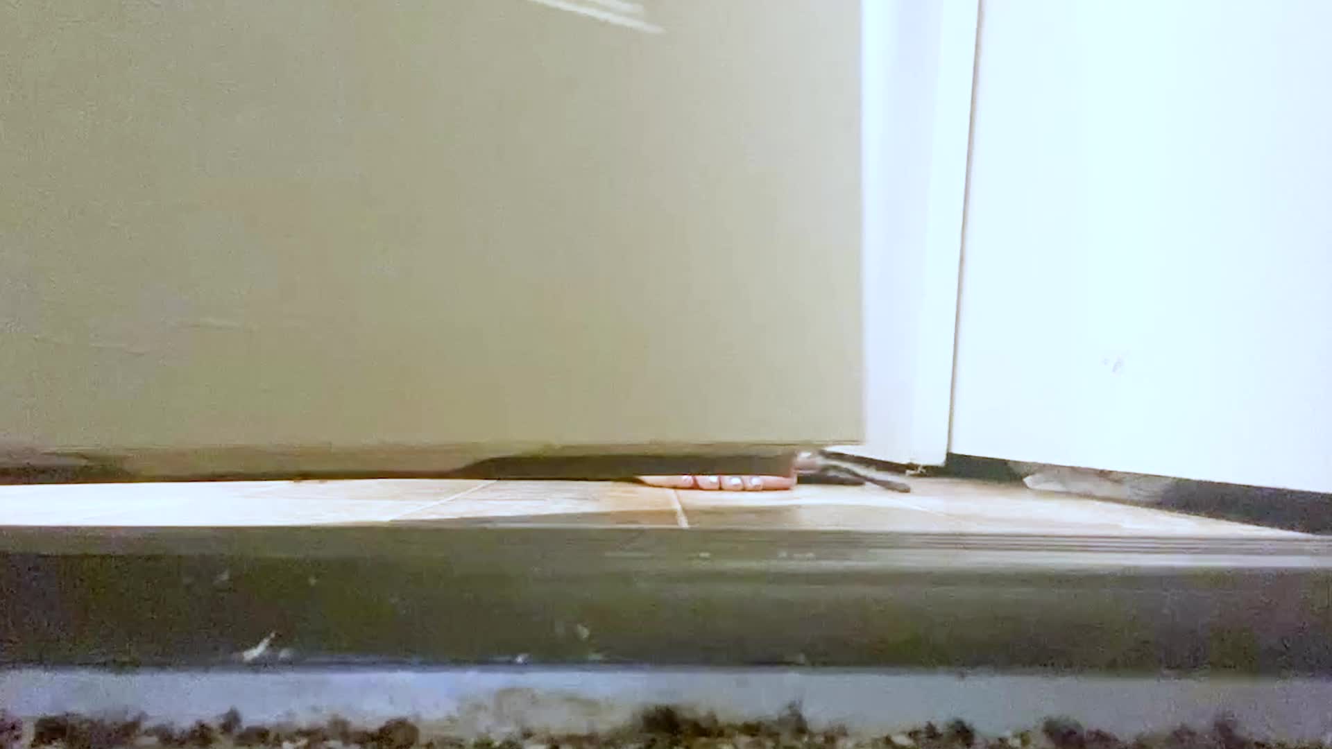 Giantess- Giantess Mxdominion Invites You A Tiny Girl Over To Her Home To See Her New Pet POV, Female Domination, Shrinking Fetish, Mind Fuck