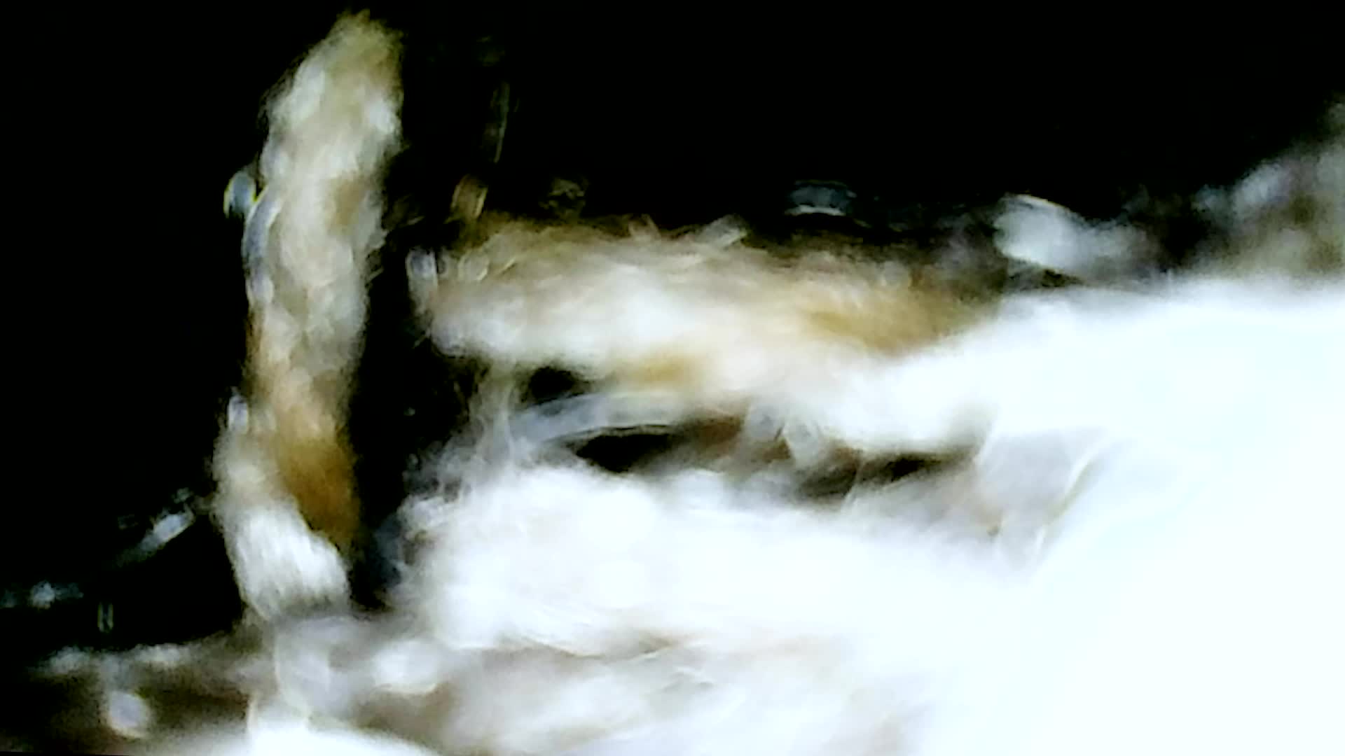 Bug Or Prey? She Decides POV, Female Domination, Giantess, Shrinking