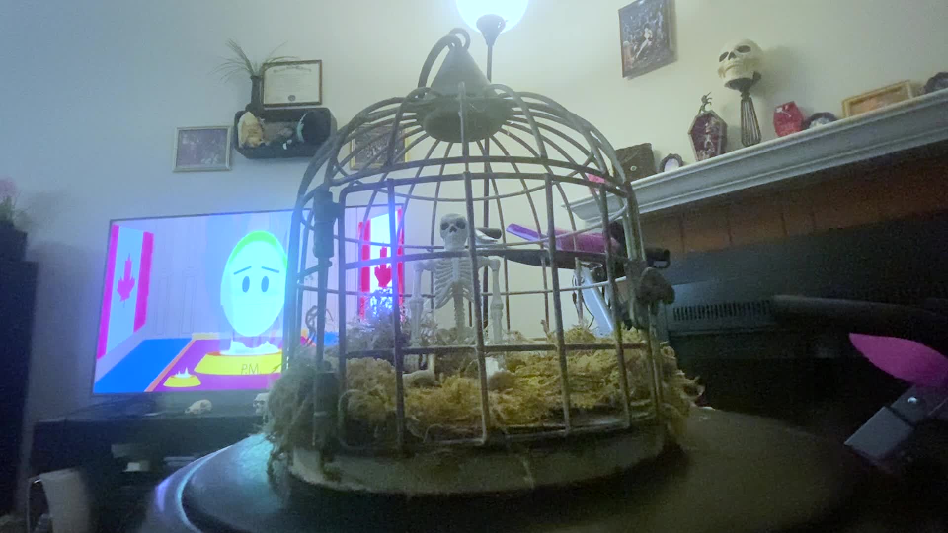 Fantasy- Forgotten Tiny Human: Tiny In A Giantess Cage, Femdom, Giantess, Shrinking Fetish