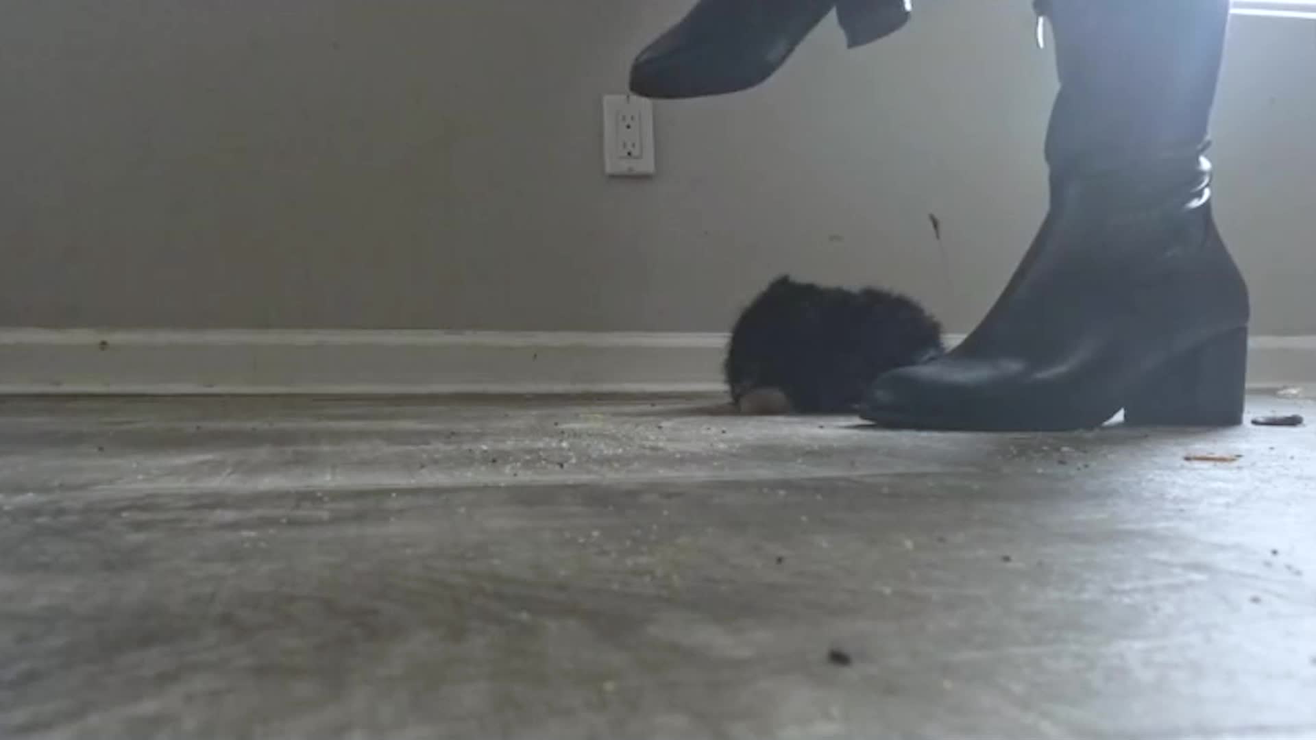 Leather Boots vs Your Precious Teddy Bear