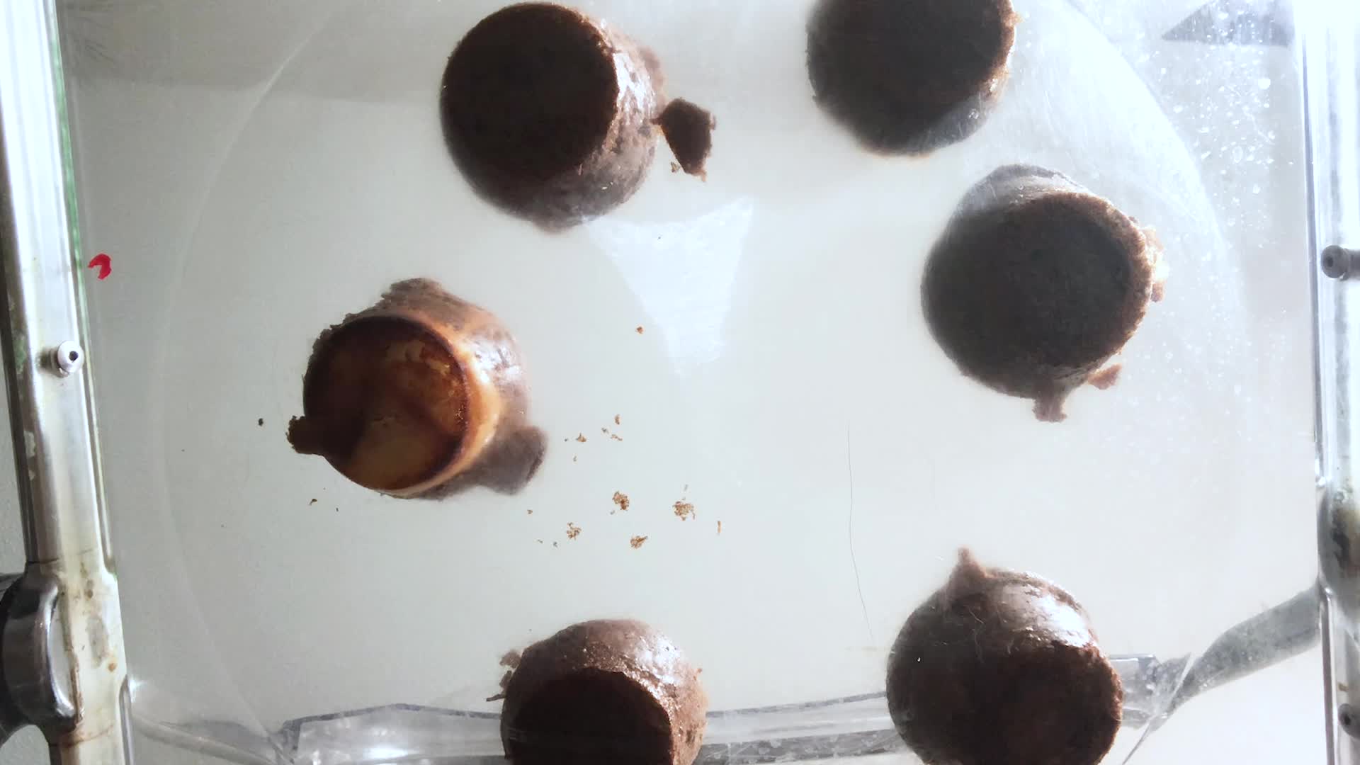 Food And Object Crush- Muffin Mayhem: Goddess Butt Crush On Clear Chair, Ass Fetish, Femdom, Crush