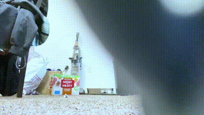 Shrinking Fetish Giantess Mxdominion Finds Tiny Human On Her Floor, Femdom, Giantess, Goddess Worship