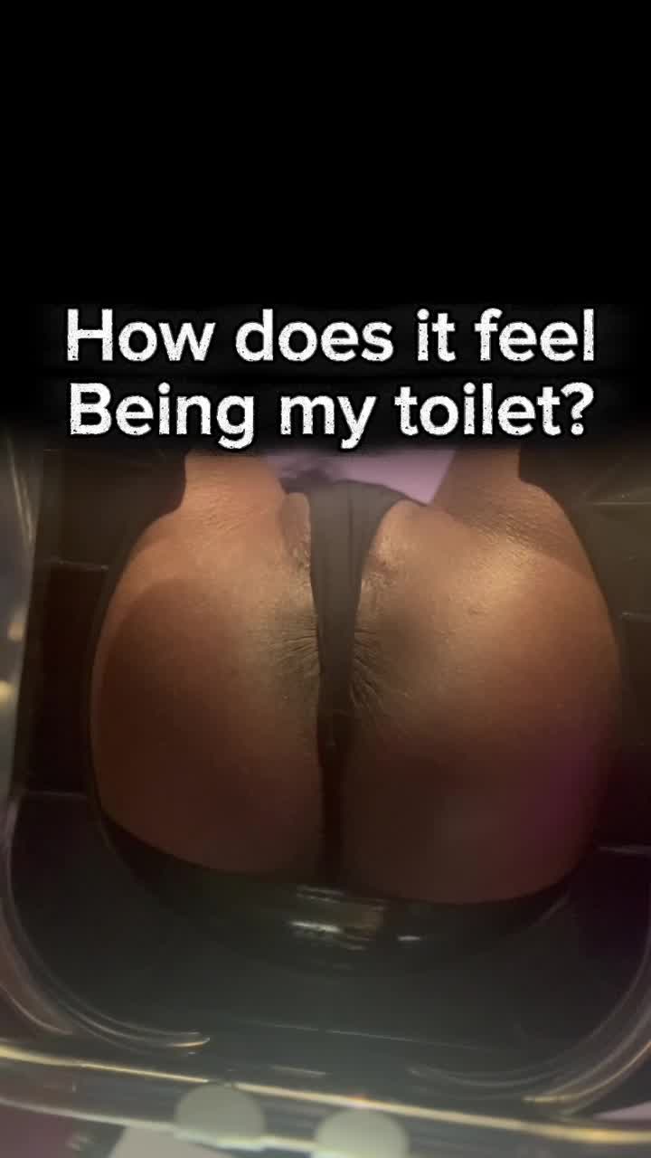 Toilet Slave