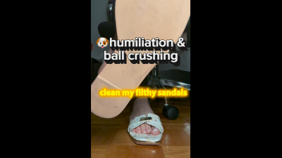 Pet Play Humiliation & Ball Crushing: Clean My Filthy Sandals