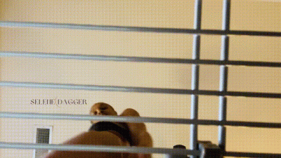Teasing My Cage Slave