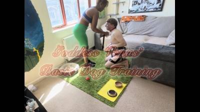 Basic Human Dog Training: Obedience Commands For Beginners
