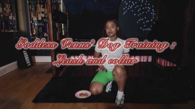 Basic Human Dog Training: Leash & Collar Obedience Edition