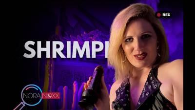 Du Hast Keinen Schwanz Sondern Einen Mini-Shrimp!