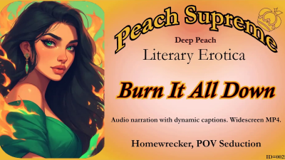 0025 Burn It All Down MP4 Dynamically Captioned Narration Widescreen