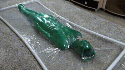 Green Stretch Film In A Clear Vacuum Bed