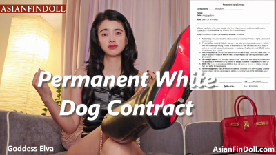 White Boi Blackmailed Into Signing Permanent Slave Contract- Chinese Goddess Elva Owns You Forever