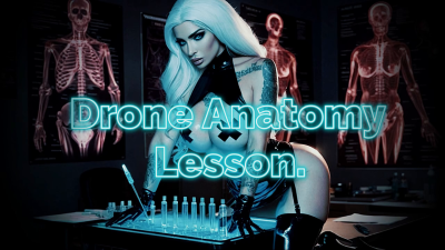 Drone Anatomy Lesson