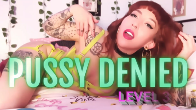 Pixelated Pussy Denied, Level 3