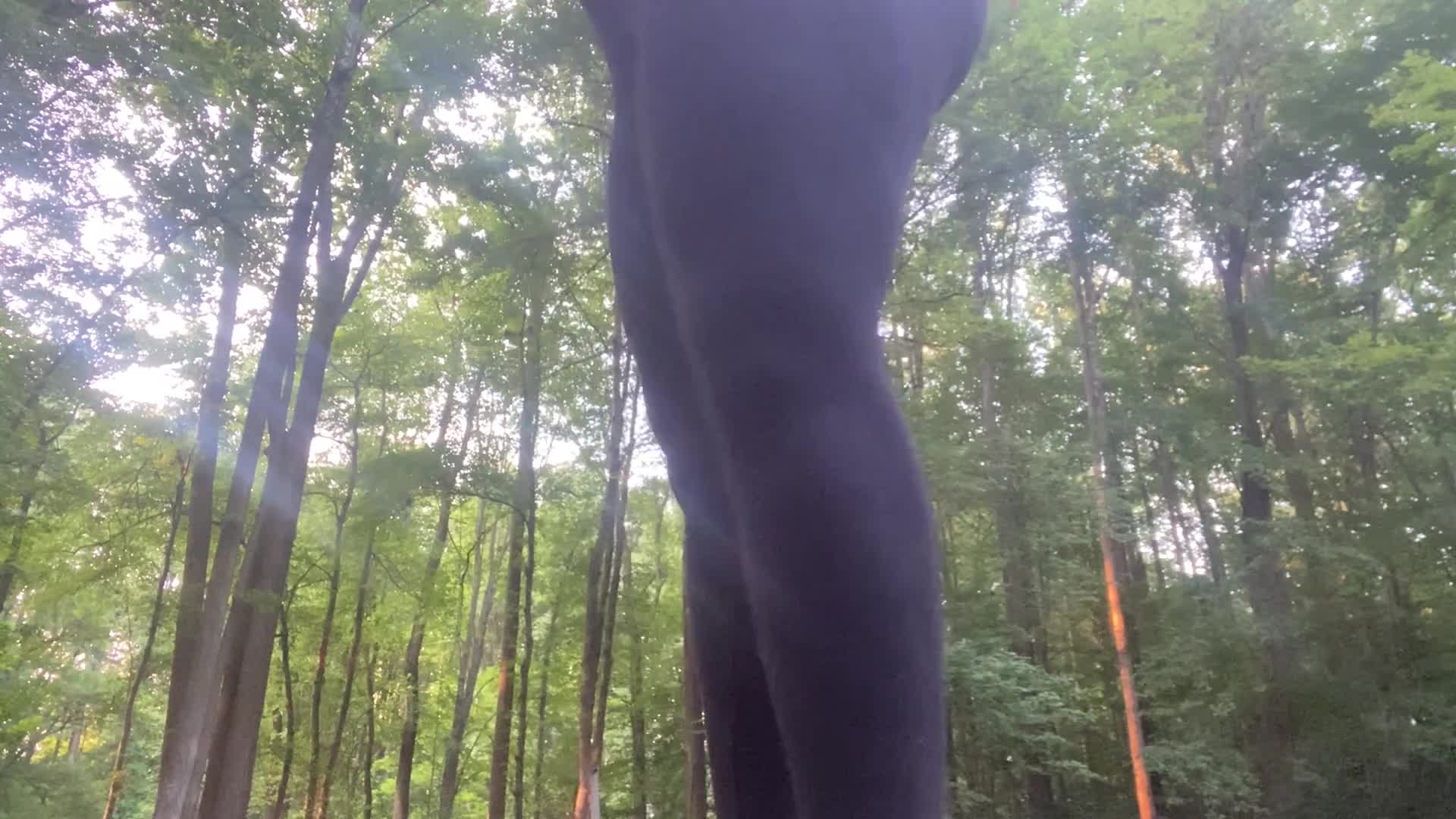 Lick My Leggings In The Woods!