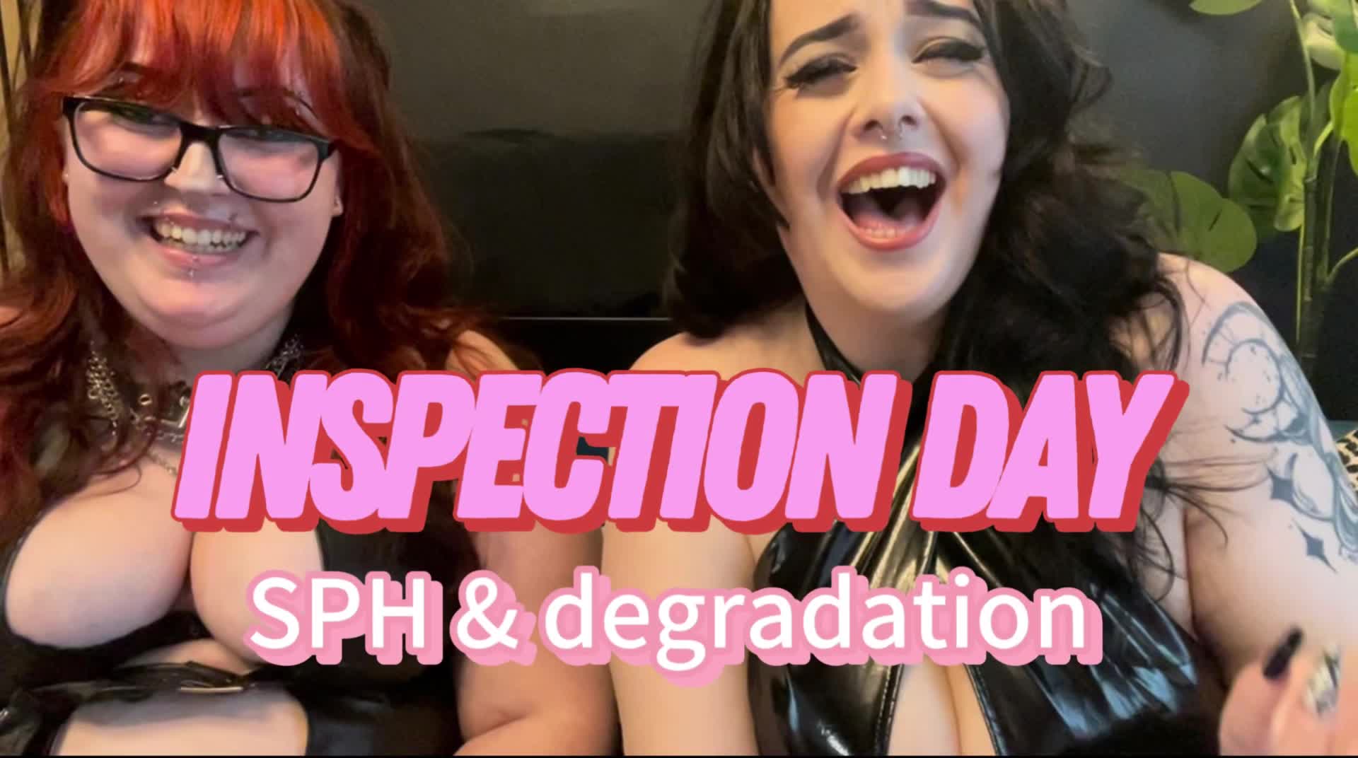 Inspection Day