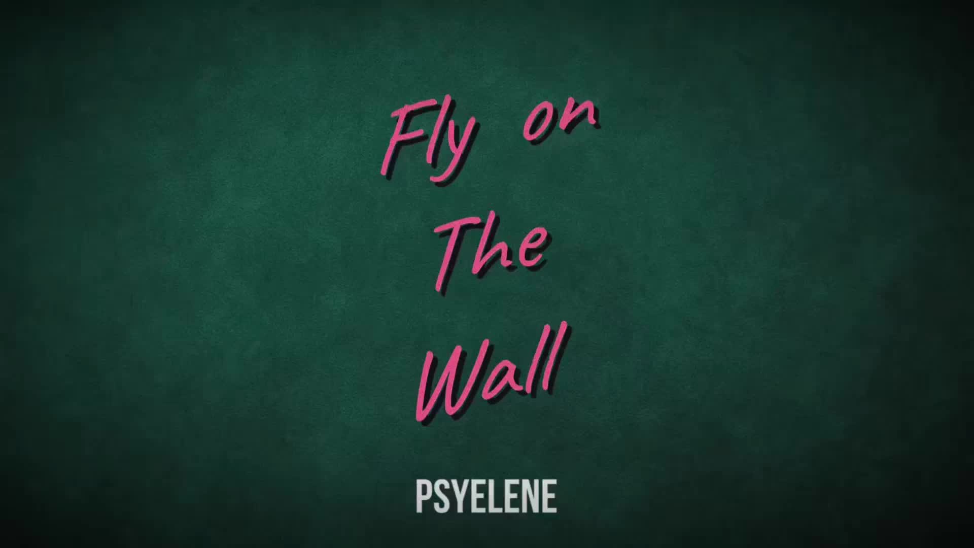 Fly On The Wall