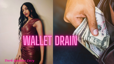 Findom Wallet Drain