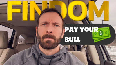 Findom: Pay Your Bull -- Support The Standard