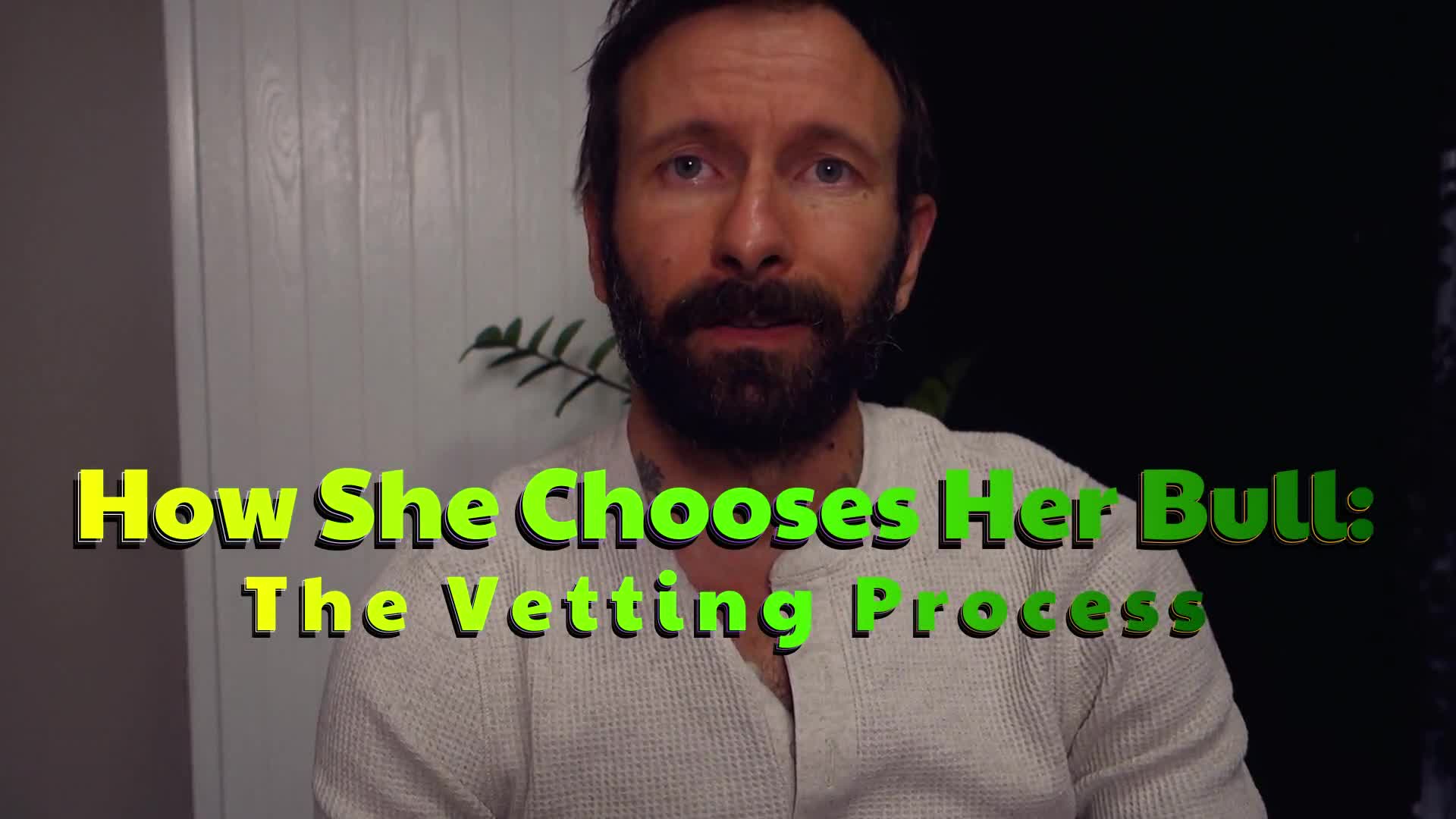 How She Chooses Her Bull: The Vetting Process -- Explained By Mihlyian