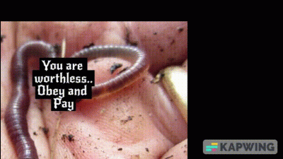 Worthless Worm - Total Verbal Degradation