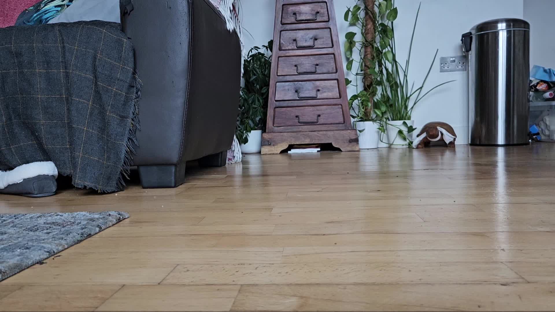 Giantess Bullies Tiny With Post-Date Feet