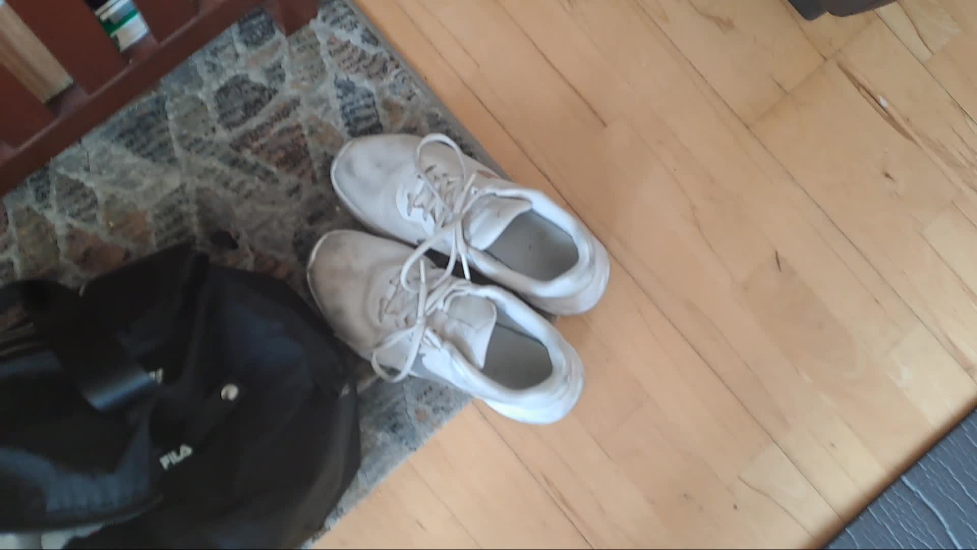 Millie Catches You Sniffing Socks, Gives You Mean Fj