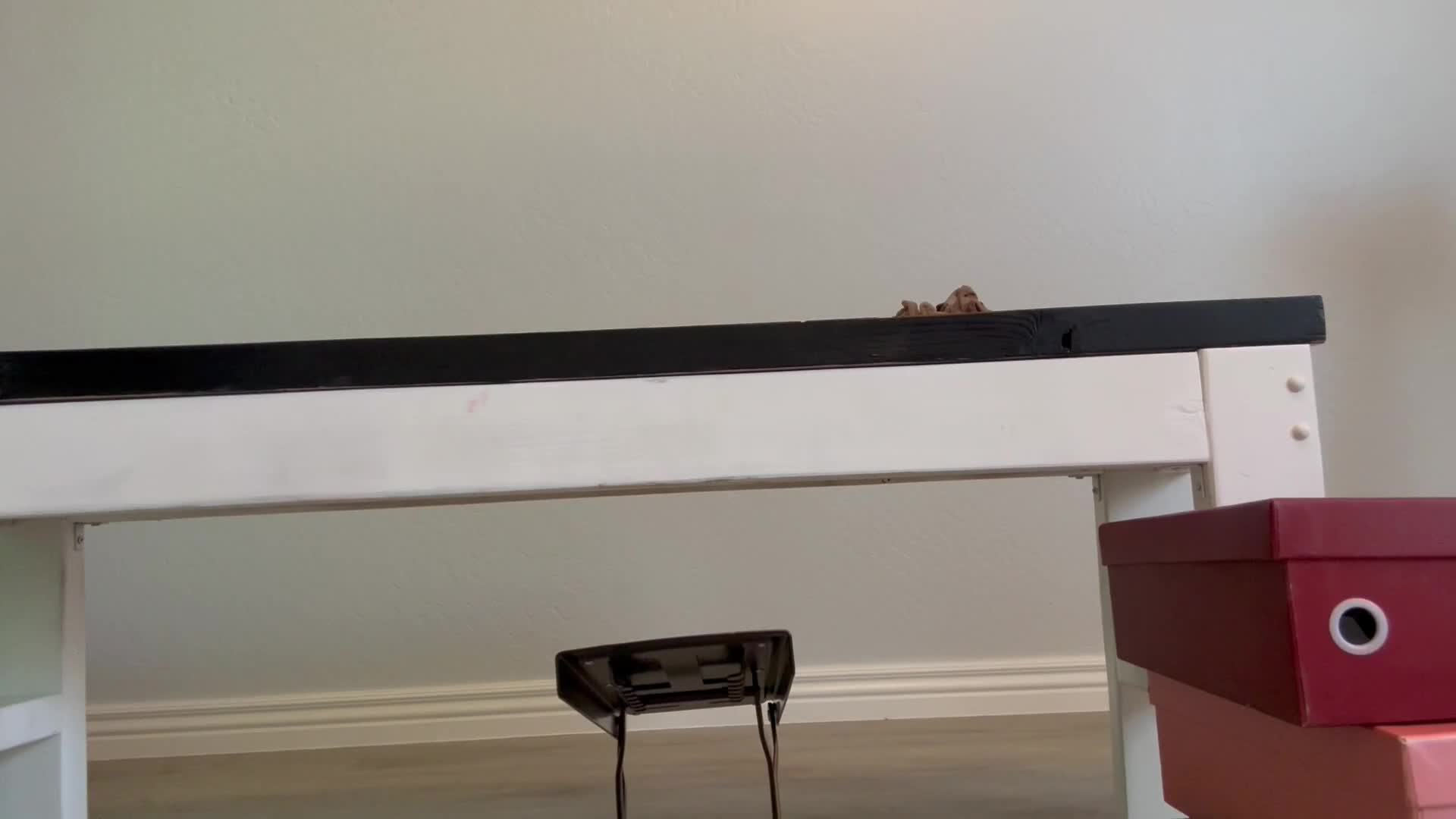 Married With Toe Jam