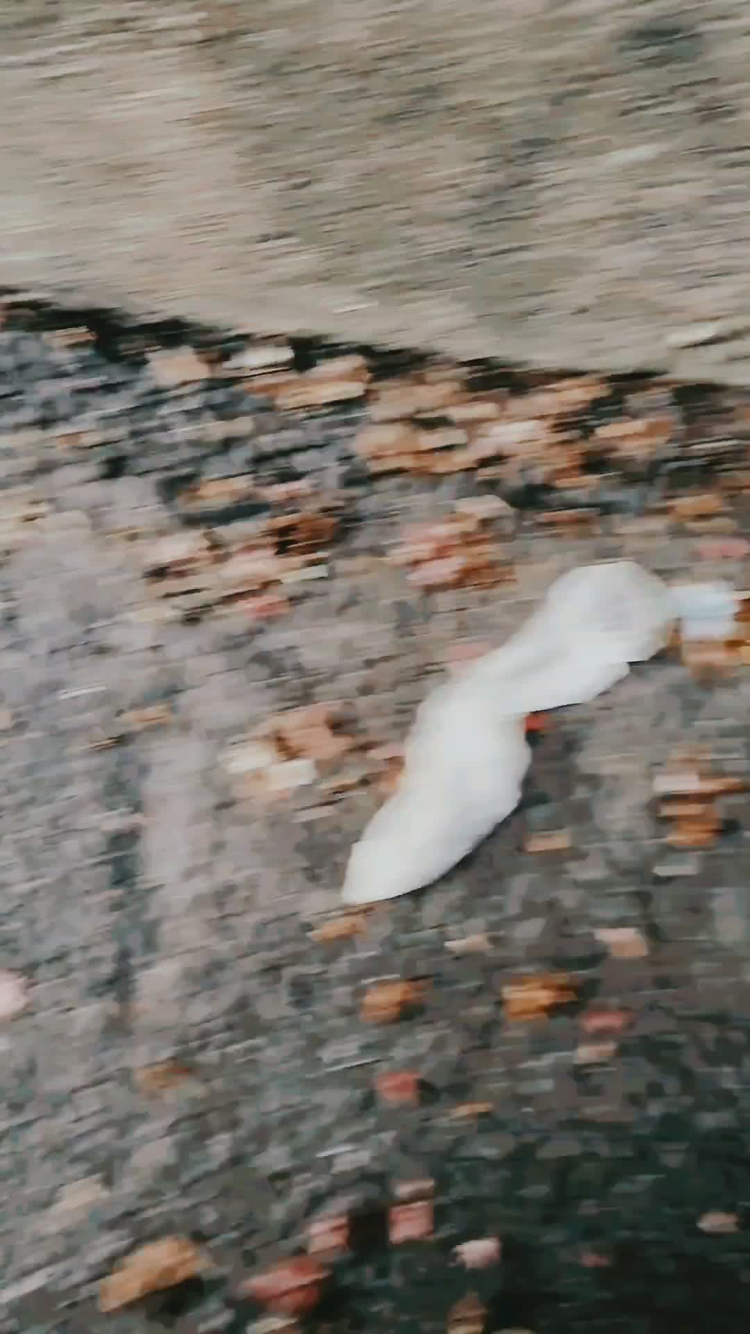 Giantess' Dumpster Diving Finds