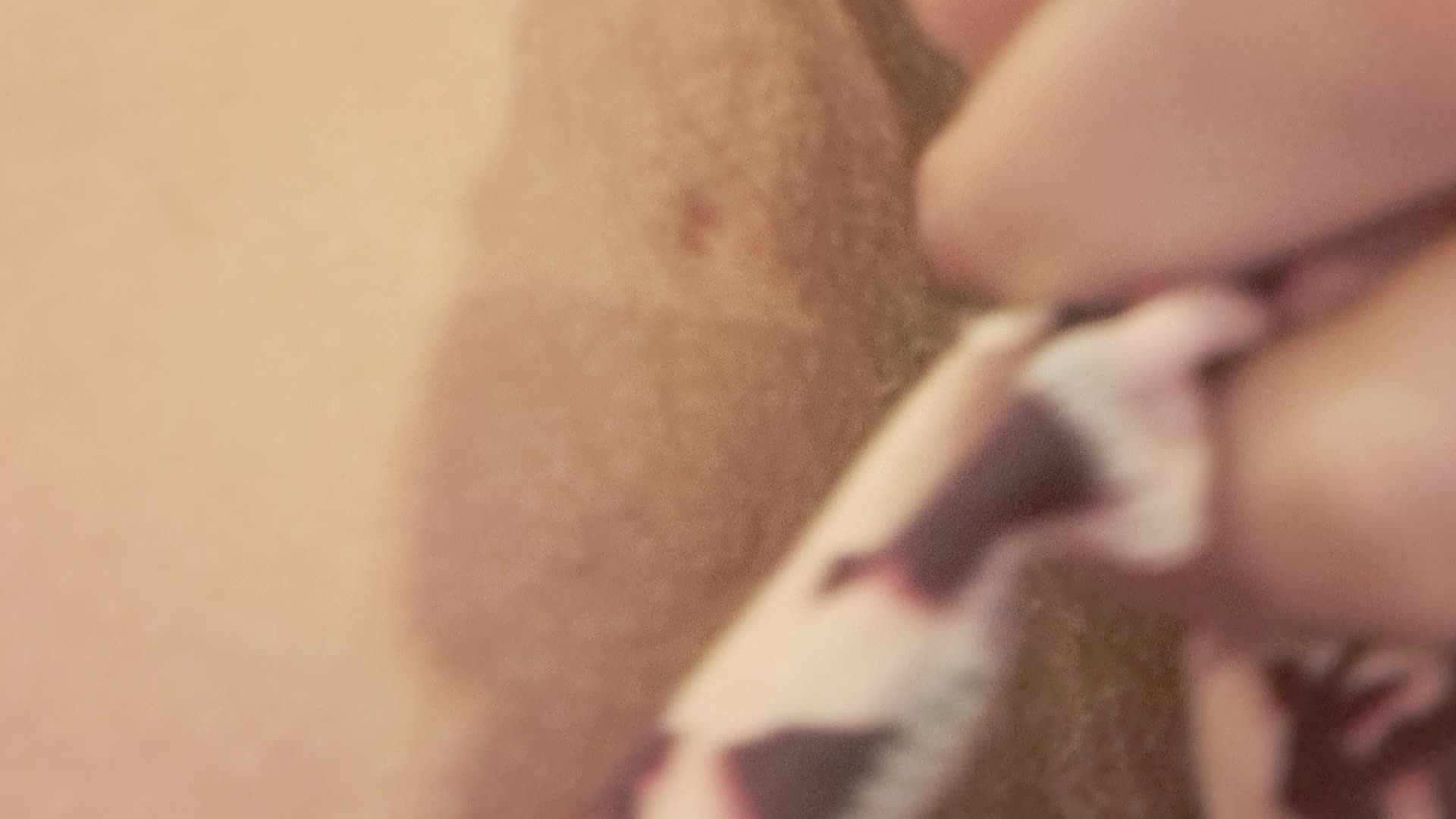 Victoria Secret Thong Stuffing