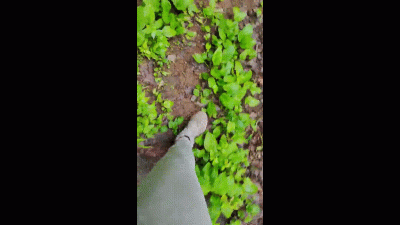 Muddy Boot Hiking And Porta Potty Ending