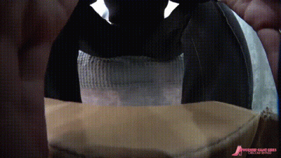 Wrong Delivery, Perfect Toy